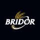 Logo-Bridor---RVB.png-1600px.JPG